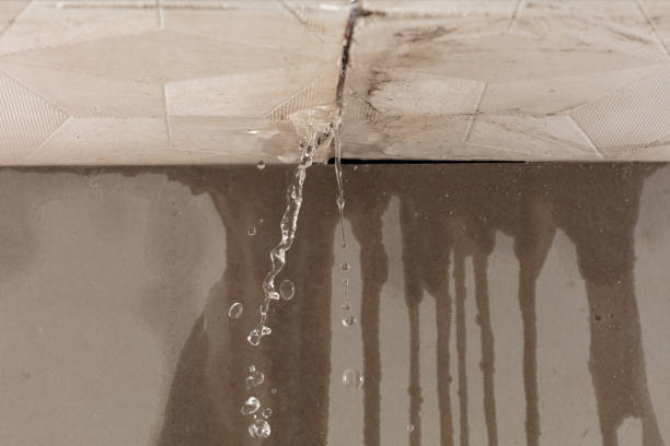 Professional Burst Pipe Cleanup technician working in Mack, CO